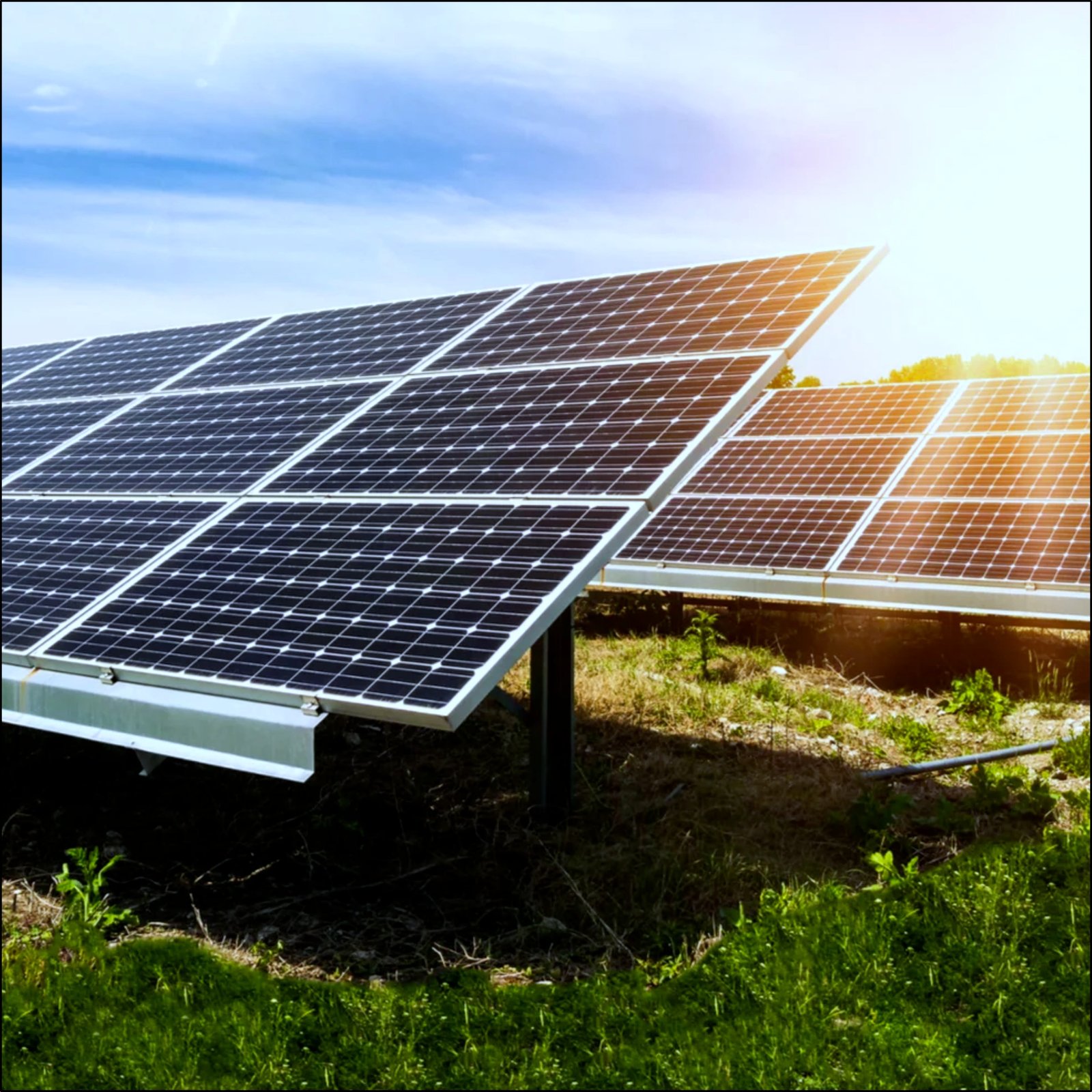 whatsapp image 2025 10 22 at 16.02.58 5c8aa392