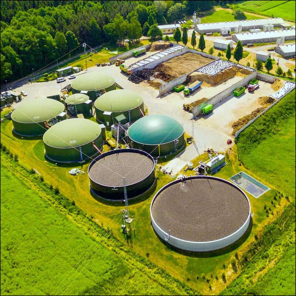 whatsapp image 2025 10 22 at 16.05.06 06fba0a3